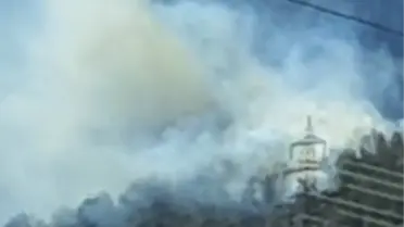 Osmaniye'de Orman Yangını