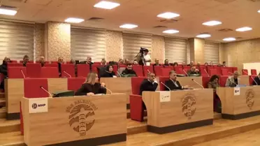 Şile Meclisi'nde Hayvan Barınağı Tartışması