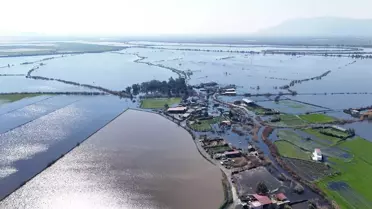 Taşkınlar Flamingolara Yuva Oldu
