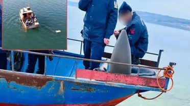 Hava sahamızda imha edildi! Atatürk Baraj Gölü'ne füze parçaları düştü