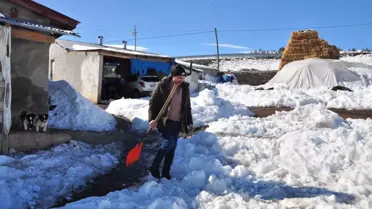 Kurtları Kürekle Kovaladı