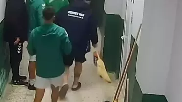 Soyunma Odasında Kavga: Maç Tatil Edildi