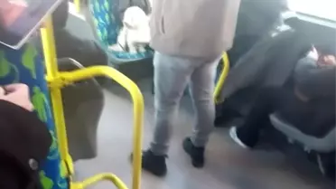 Metrobüste köpek koltukta oturdu, sosyal medyada tartışma başladı