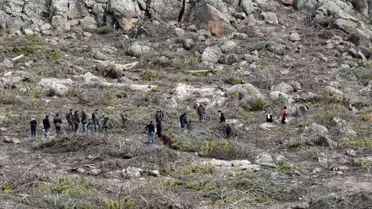 Eskişehir'de Yangın Alanında Ağaçlandırma Çalışmaları Başlatıldı