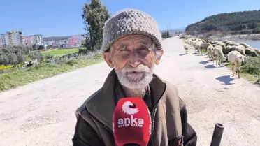 Ameliyatlı haliyle besicilik yapan Ömer amcanın sözleri yüreklere dokundu