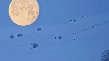 Bitlis'te Dolunayın Eşsiz Görüntüsü