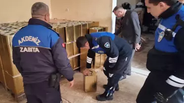 Mersin'de 4,5 Ton Sahte Zeytinyağı Ele Geçirildi