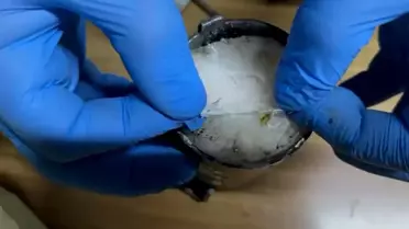 Havza'da Uyuşturucu Ele Geçirildi