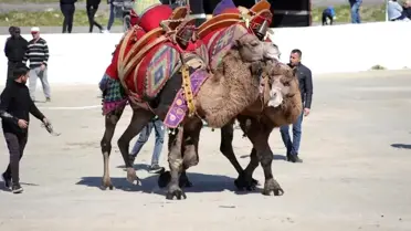 Başkan Kaya: 'Bu yıl sezonun ilk güreşlerini yapmak bizlere nasip oldu'