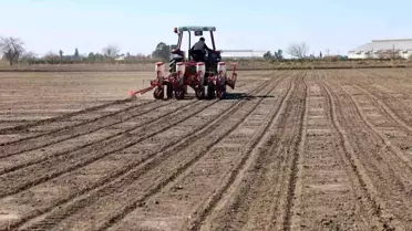 Çiftçiler Bereketli Sezon Bekliyor