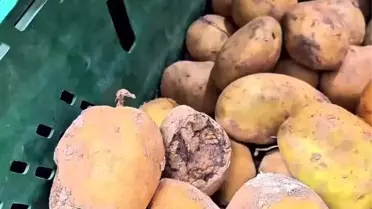 Market raflarında tarihi geçmiş tavuk ve içecek alarmı