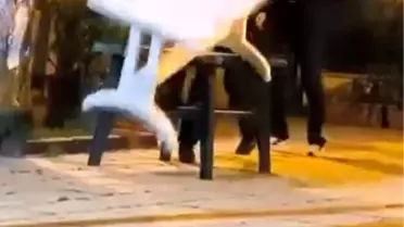 Caminin Bahçesine Zarar Veren Çocuklar Yakalandı