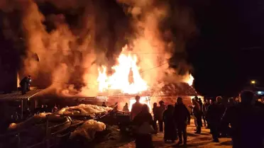 Hisarcık'ta samanlık yangını korkuttu