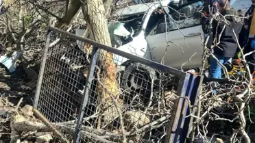 Aydın'da Trafik Kazası: 2 Ölü, 1 Yaralı