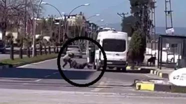 Korku dolu anlar kamerada: Yere yatırdığı minibüs şoförünü defalarca yumrukladı