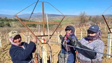 Kadın İşçiler, Dünya Kadınlar Günü’nü Üzüm Bağlarında Geçirdi