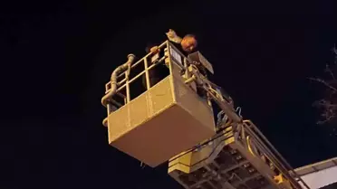 Ağaçta Mahsur Kalan Kedi Kurtarıldı