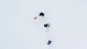 Erzurum'da Kuşlara Yardım Eli