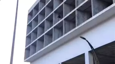 Yazılan cezanın miktarını görünce soluğu binanın tepesinde aldı