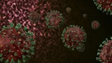 Gana'da M çiçeği salgını! 1000'den fazla vaka görüldü, 8 kişi hayatını kaybetti