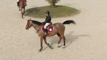 Lale Apa Kupası, Kadınlar Günü'nde Yapıldı