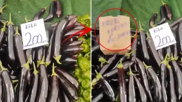 Savaşın gölgesi tarlaya da düştü, pazarda 'taksit' dönemi başladı