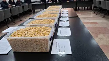 Ceylanpınar'dan Mısır Satışı İhalesi