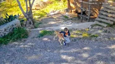 Antalya'da Çocuğa Köpek Saldırısı