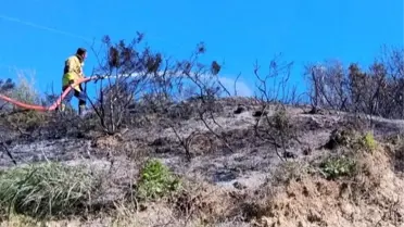 Defne'de çıkan bahçe yangınından alevler yükseldi