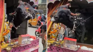 Genetik bozukluğu kazanç kapısı yaptı