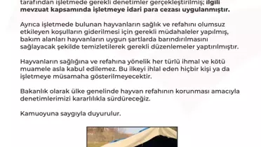 Çorum'daki Hayvanlara Kötü Muameleye Cezai İşlem