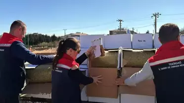 Baklavada kullanılacak kanserojen maddeli 2 ton fıstık ele geçirildi