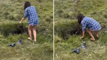 ''Dünyayı sevgi kurtaracak'' dedirten görüntü