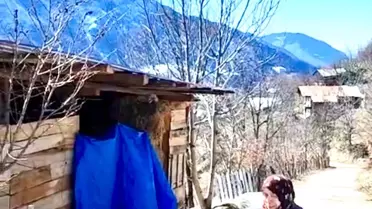 Kedi Elektrik Direğinden Kurtarıldı