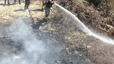 Samandağ'da bahçede çıkan yangın büyümeden söndürüldü
