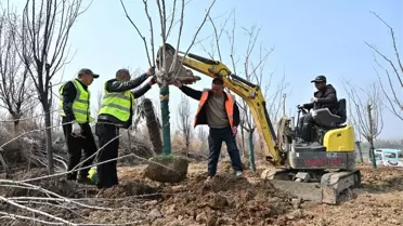 Çin'de Orman ve Çayır Alanı Artıyor