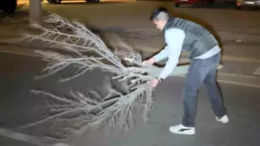 Cam ve plastik parçalarıyla dolan yolu kırılan ağaçla temizledi