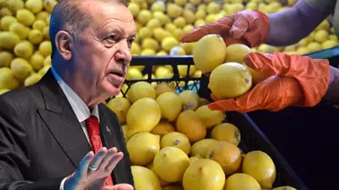 Fiyatı 100 lirayı aşmıştı, Erdoğan el attı! Limon ithalatında yeni karar