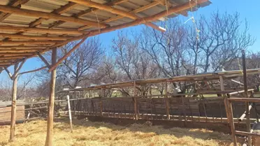 Konya'daki Hayvan İşletmesinde Hijyen Sorunu