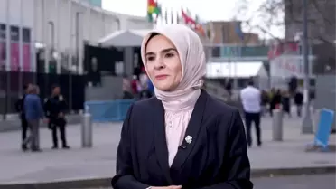 BM'de Türk Devletleriyle Ortak Beyan