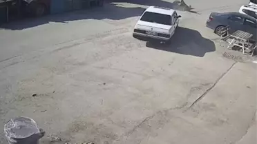 Bolu'da Köpeğe Araba Çarpıp Sürükleyen Sürücü Gözaltında