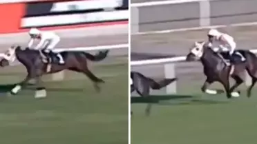 Yarış görüntüleri ortaya çıktı! Kavurması yapılan atın 3 birinciliği varmış