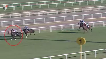 Kavurma yapılan atın sahibine de ceza! Sorumsuzluğu affedilmedi