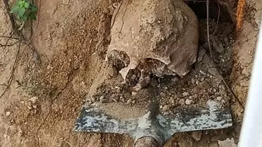 Kocaeli'de Bahçede İnsan Kafatası Bulundu