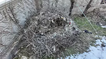 Leylek Yuvasi Yenilendi