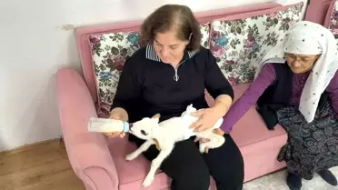 Balım'ın Umut Dolu Hikayesi