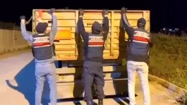 Adana'da Kaçak Tütün Operasyonu