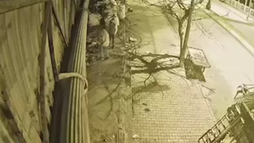 Adıyaman'da Hırsızlık Operasyonu