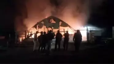 Bursa'da çiftlikte yangın: 580 kanatlı hayvan telef oldu