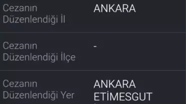 Yol verme tartışması kavgaya dönüştü